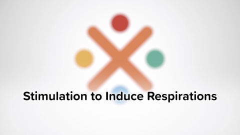 Stimulation to Induce Respirations