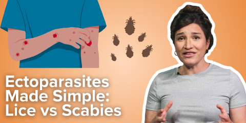 Daily Dose 2026 February 6: Ectoparasites Made Simple: Lice vs Scabies