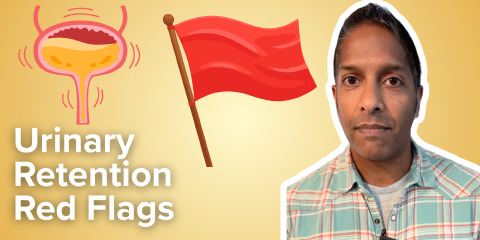 Daily Dose 2026 May 12: Urinary Retention Red Flags