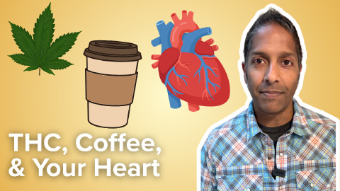 Daily Dose 2026 August 21: THC, Coffee, & Your Heart